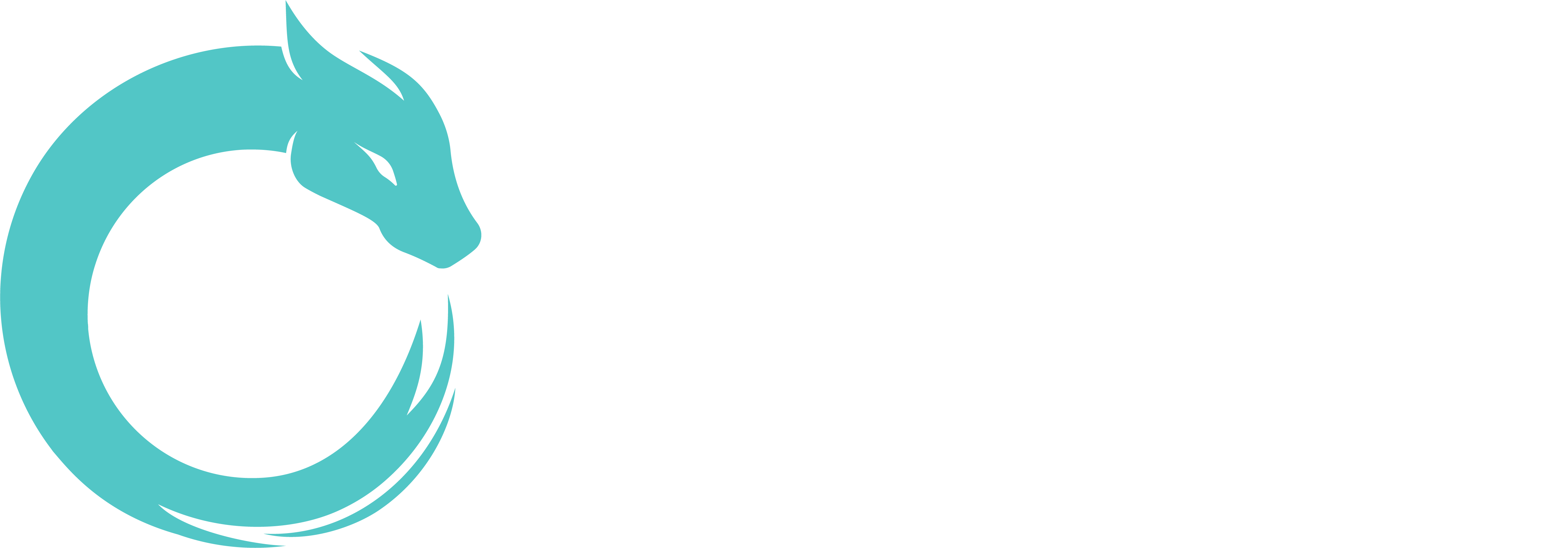 Nepomuk Software Brand Image
